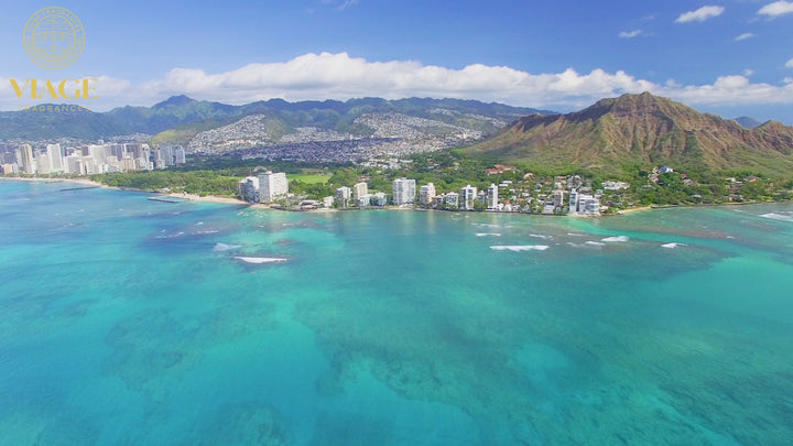 Hypnotic Honolulu