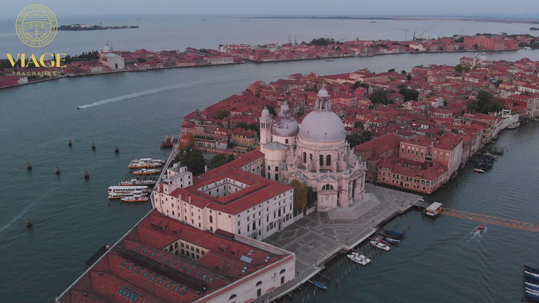 Vibrant Venice