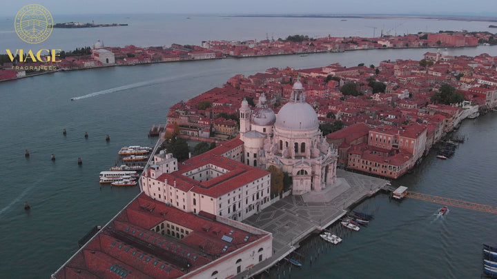 Vibrant Venice